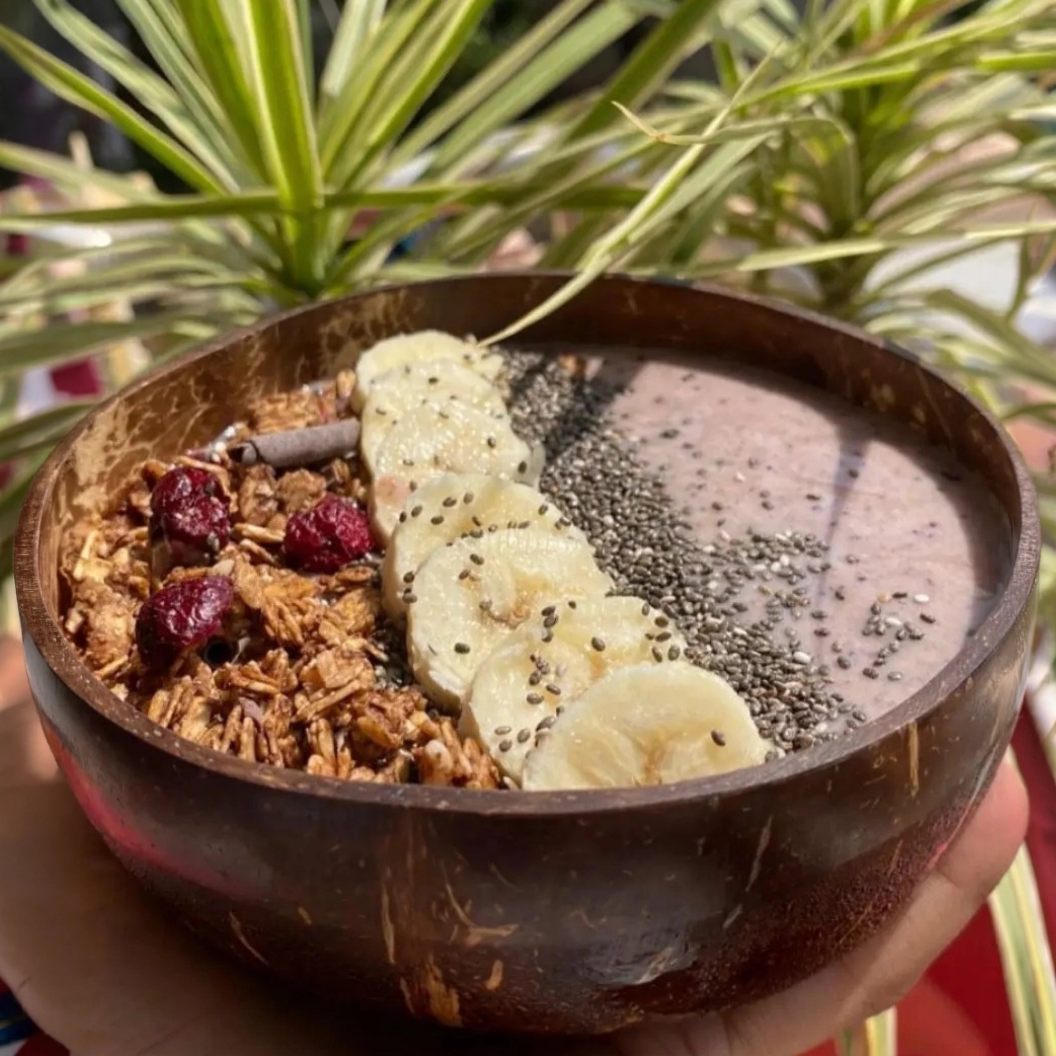 Artisan Coconut Bowl
