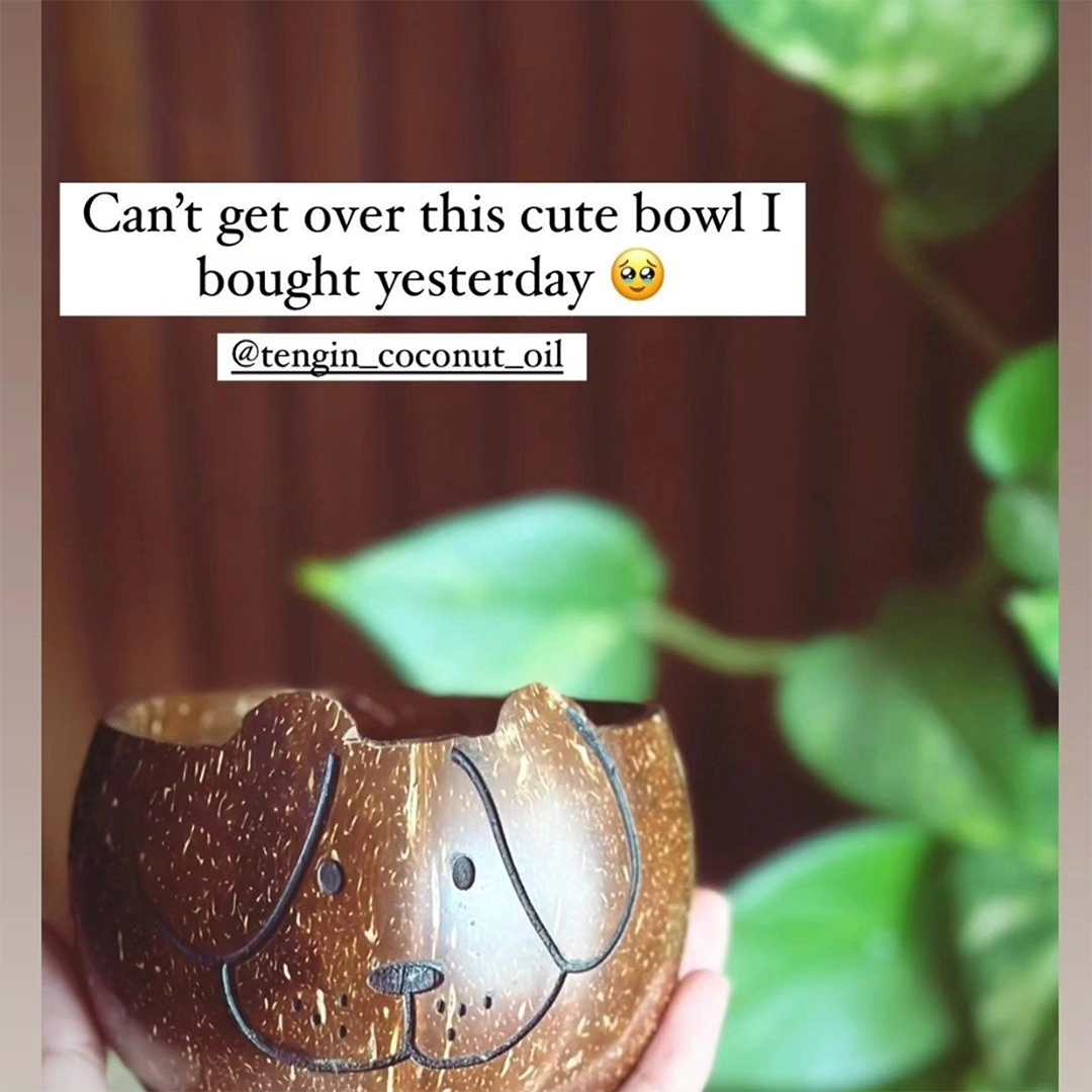 Coconut Shell Animal Bowls