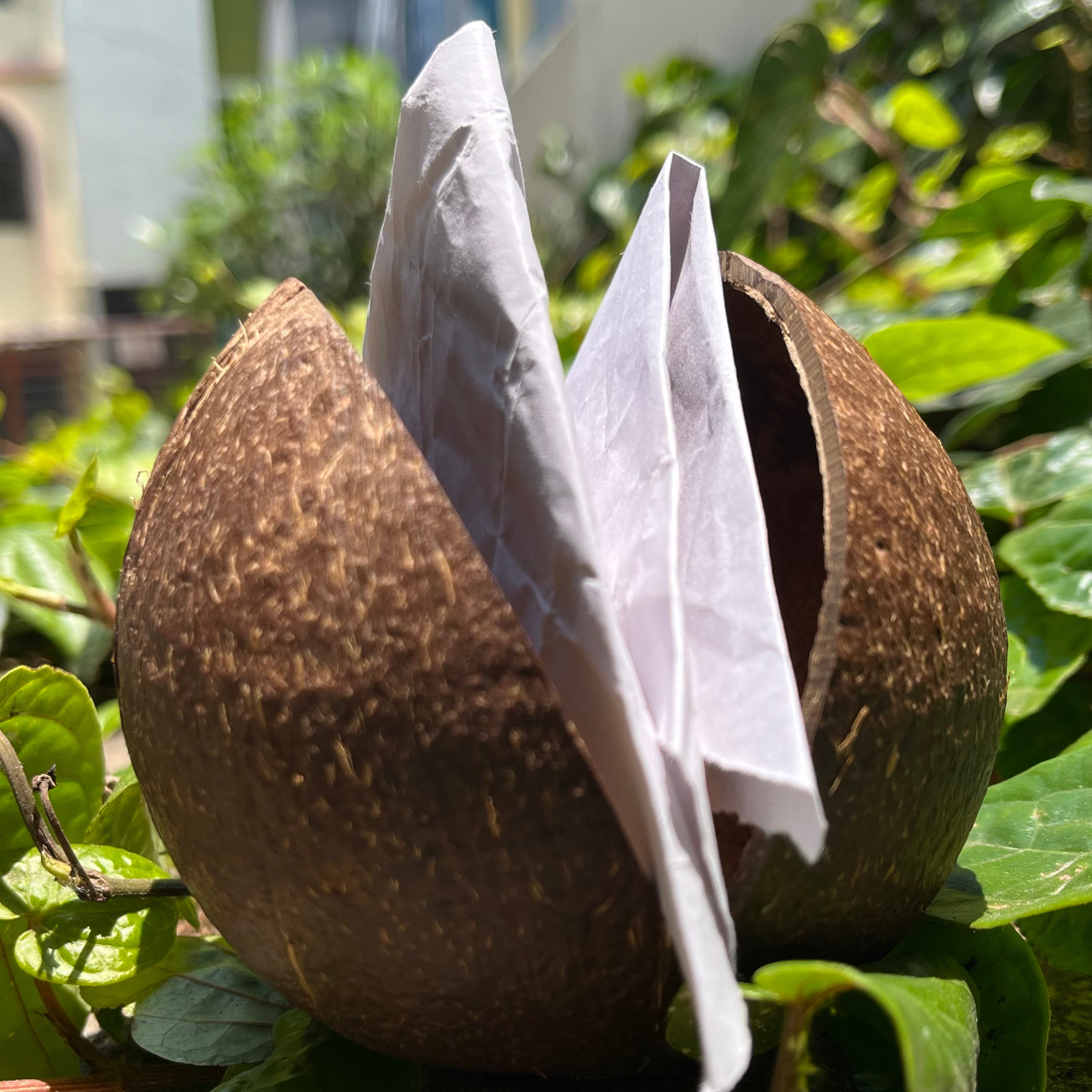 Tissue Paper Stand