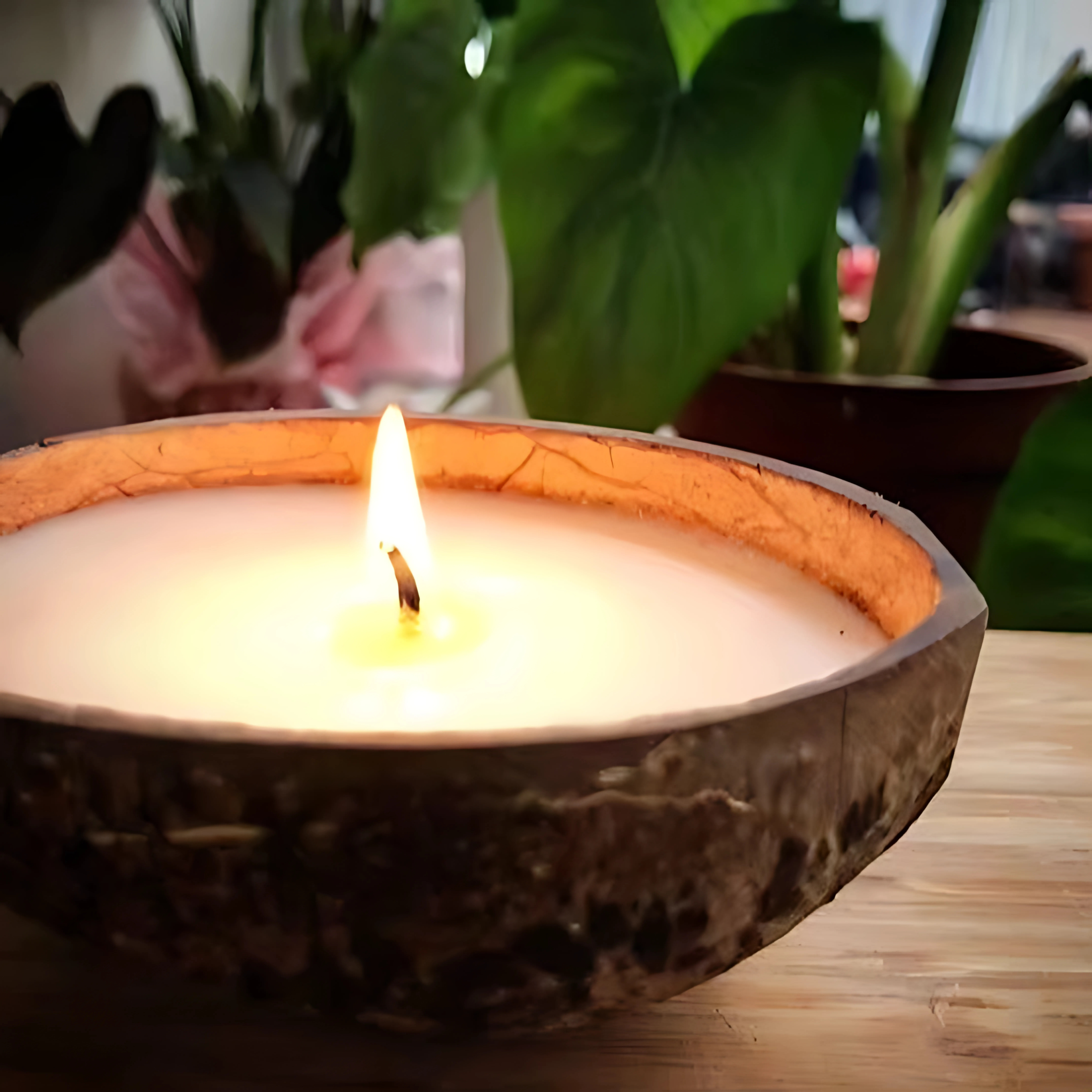 Sustainable Surprise (Plantable)