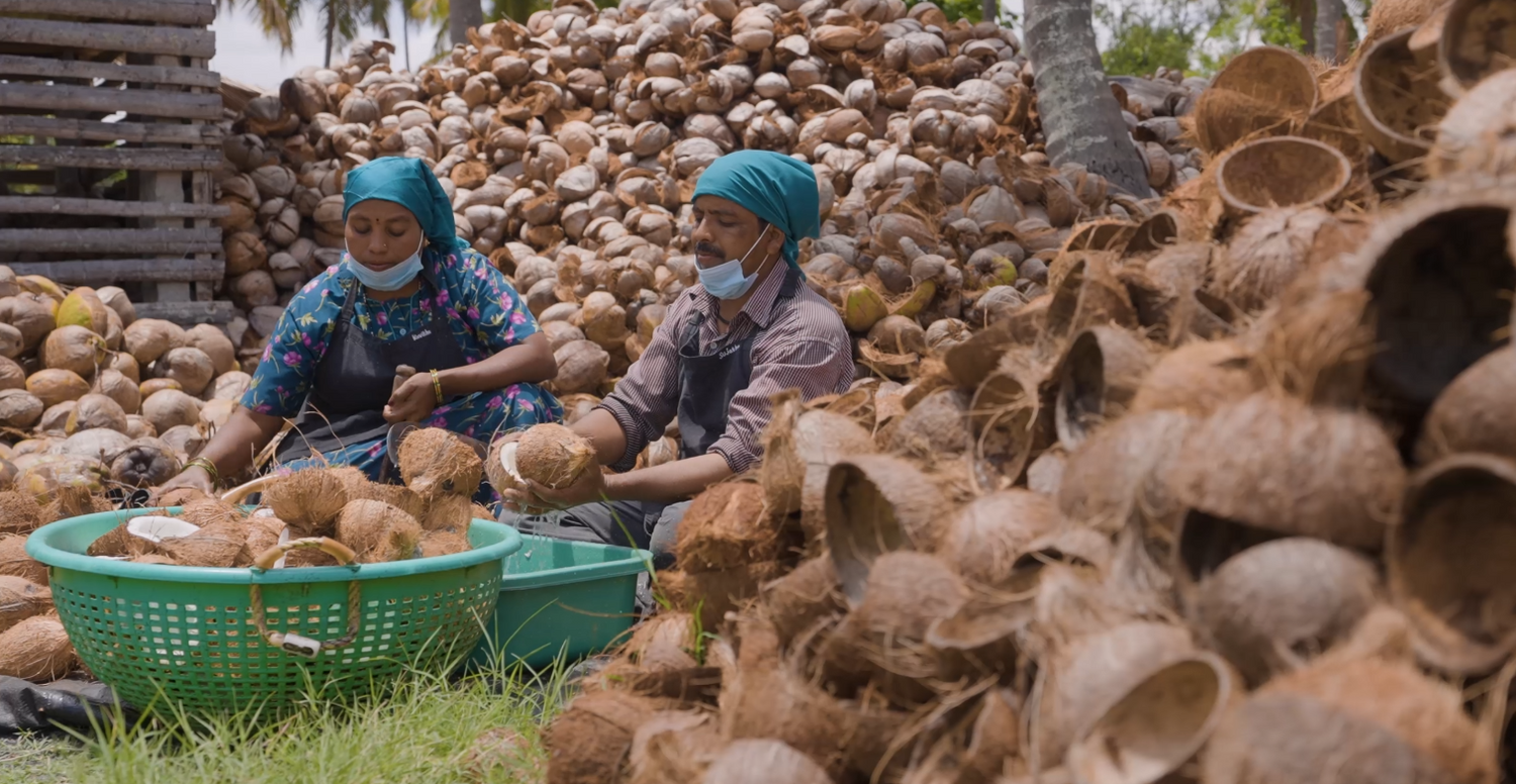 The Wonders of Virgin Coconut Oil