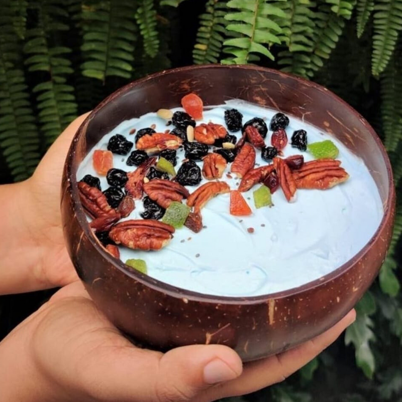 Artisan Coconut Bowl