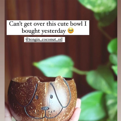 Coconut Shell Animal Bowls