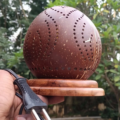 Coconut Shell Bed Lamp