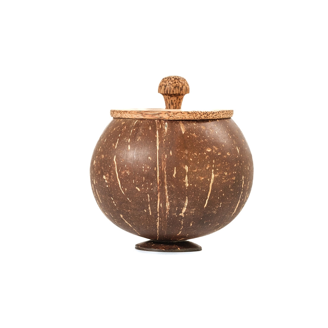 Coconut Shell Storage Container With Lid