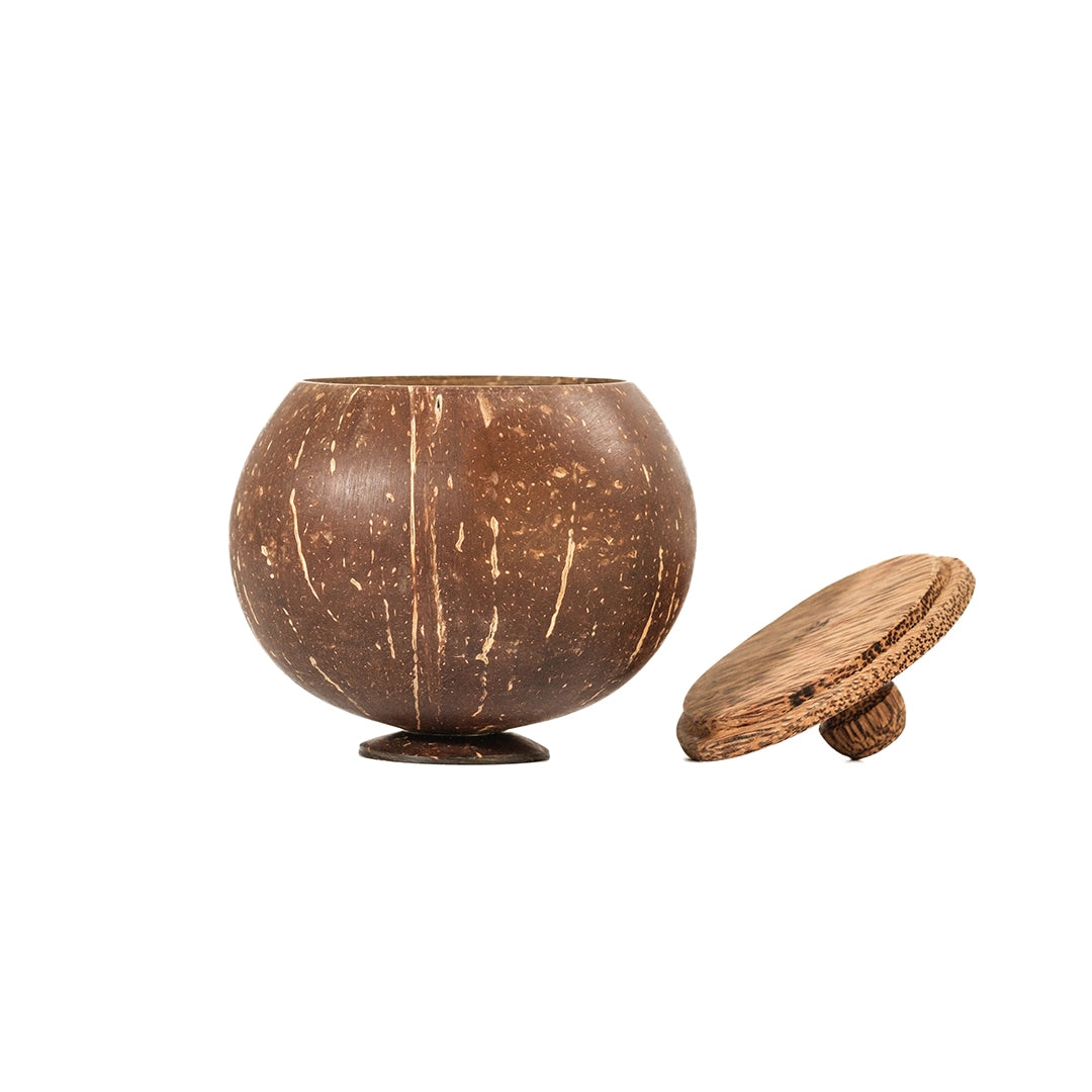 Coconut Shell Storage Container With Lid