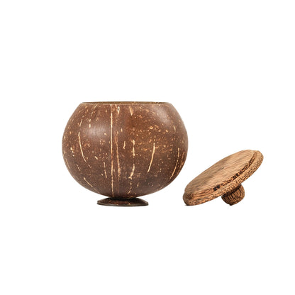 Coconut Shell Storage Container With Lid