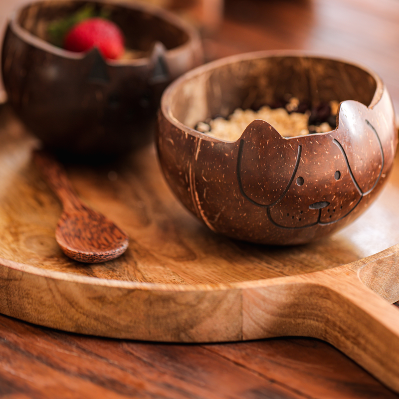 Coconut Shell Animal Bowls