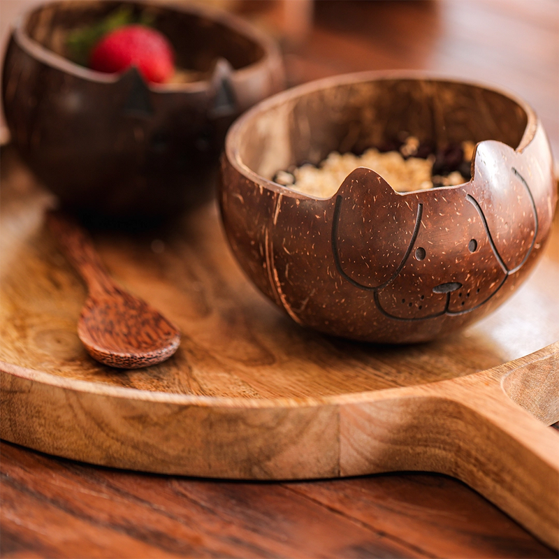 Coconut Shell Animal Bowls