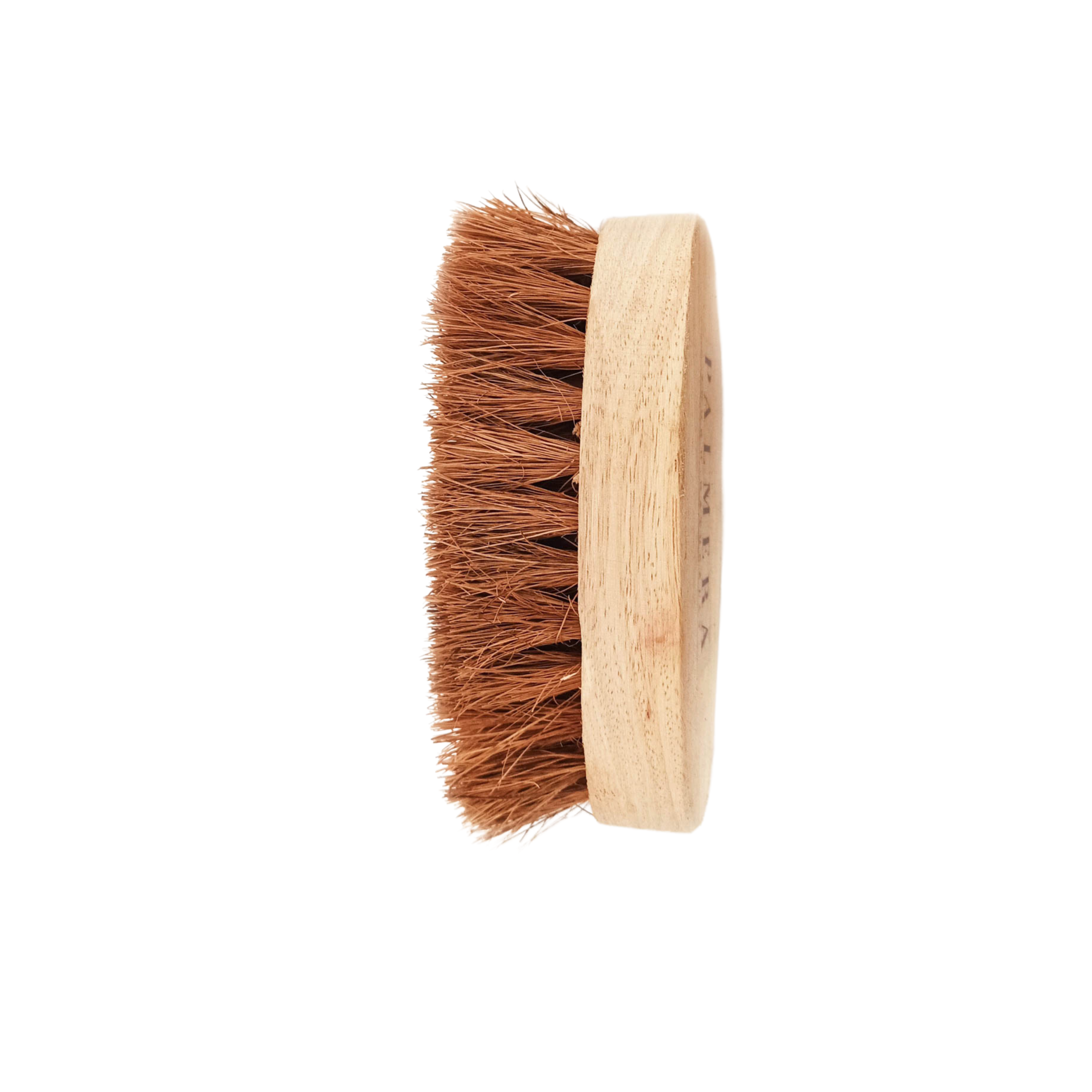 Oval Coir Brush with Wooden Handle