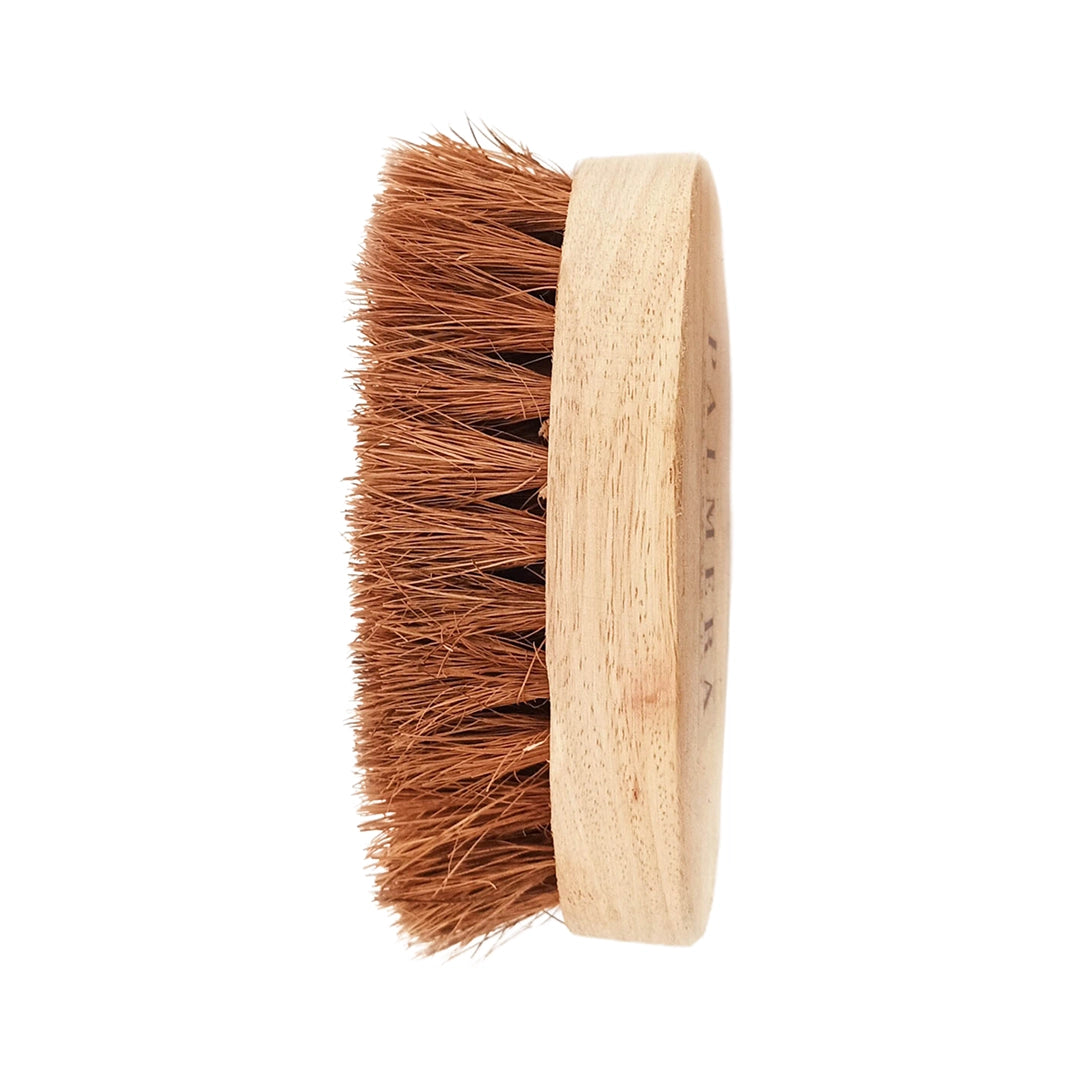 Oval Coir Brush with Wooden Handle