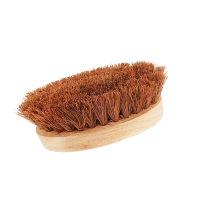 Oval Coir Brush with Wooden Handle