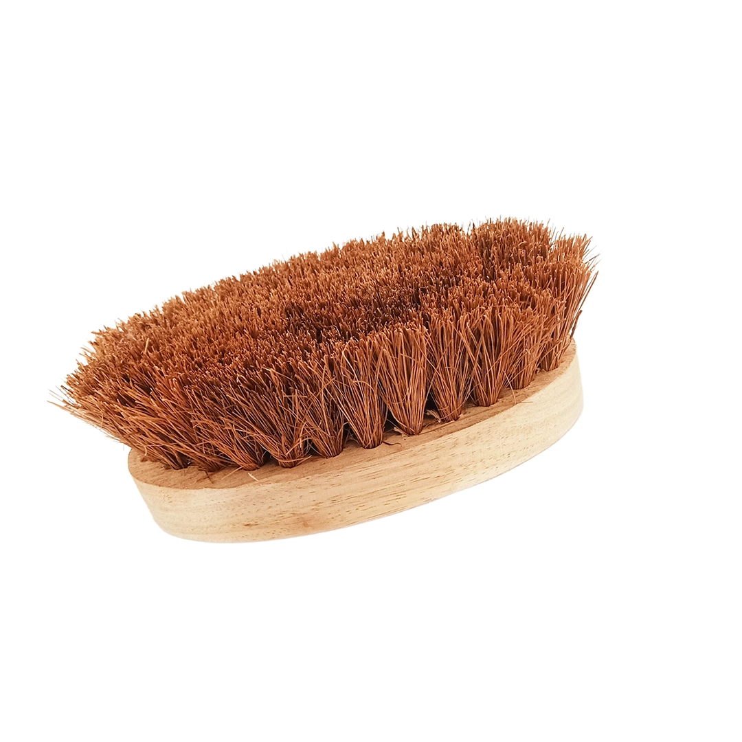 Oval Coir Brush with Wooden Handle