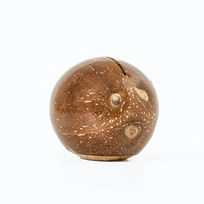 Coconut Piggy Bank