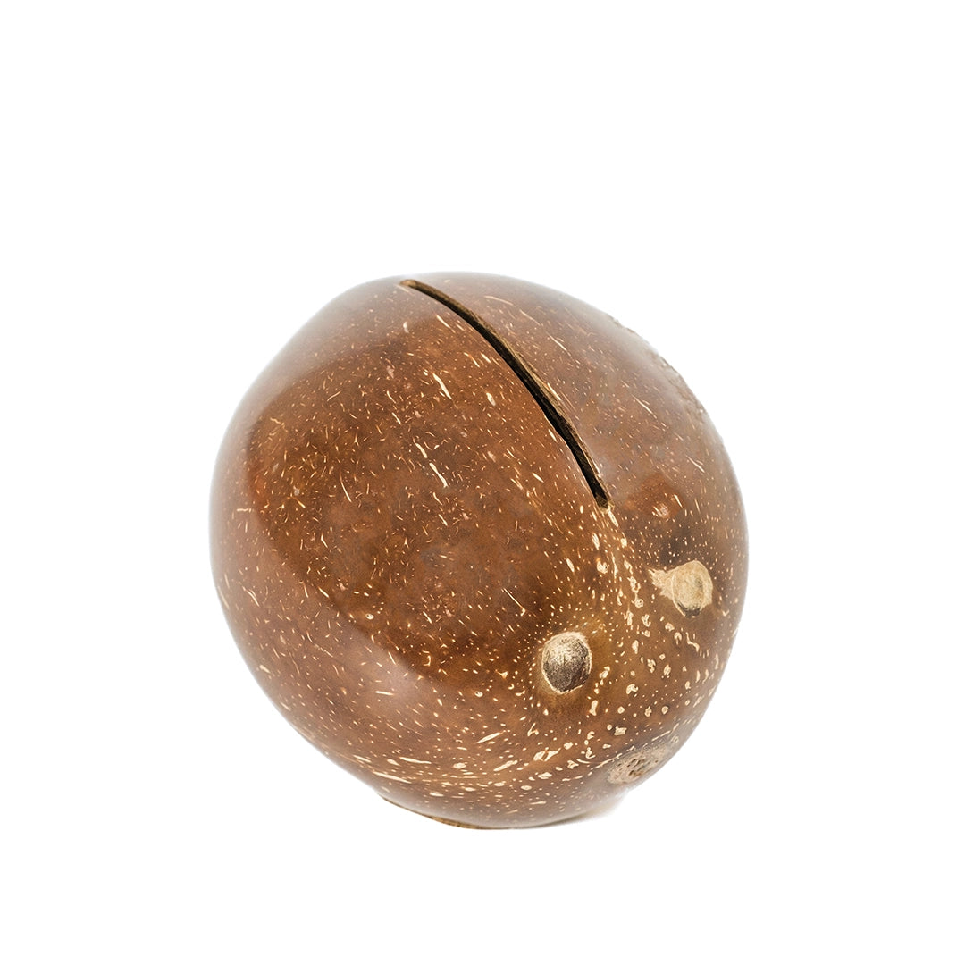 Coconut Piggy Bank