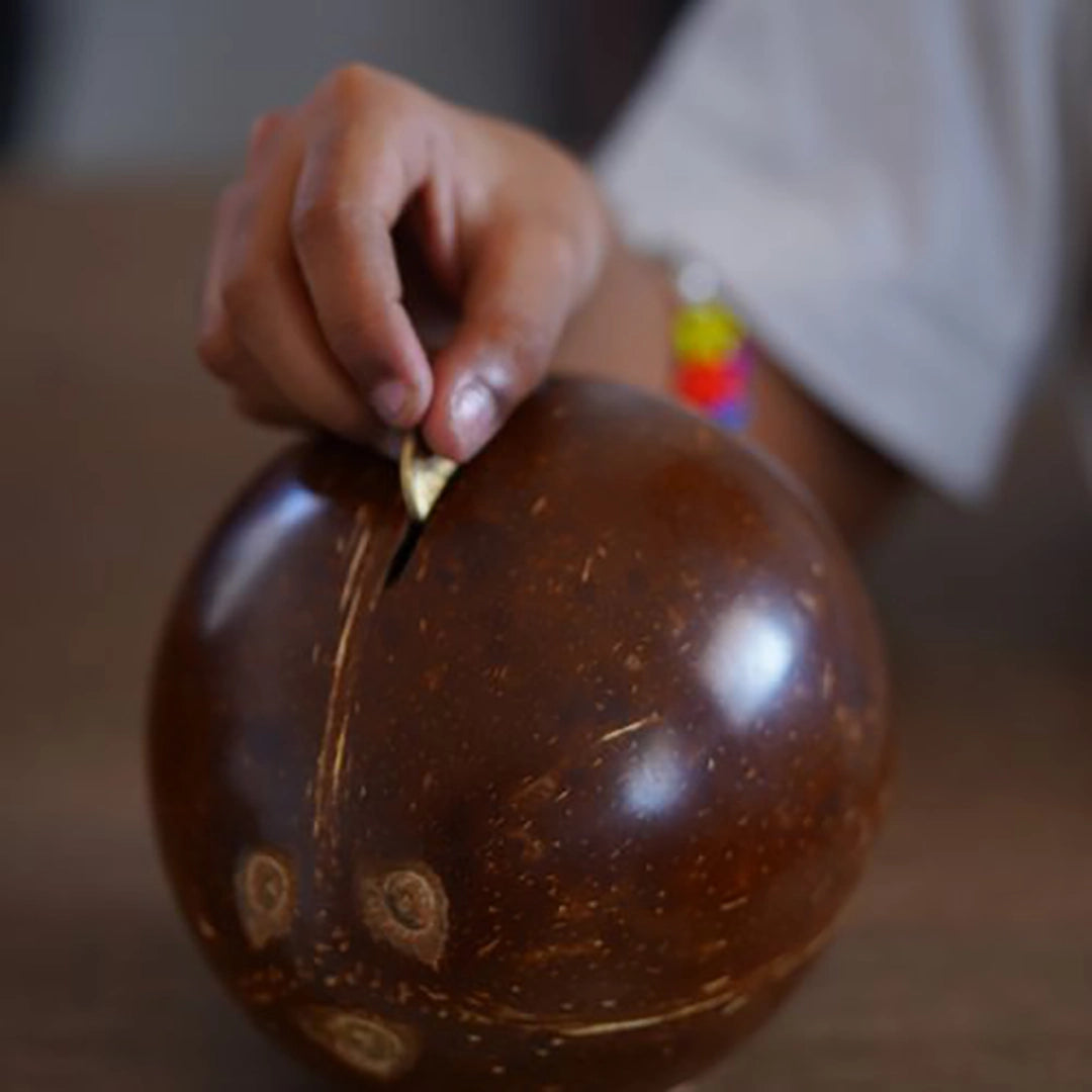 Coconut Piggy Bank