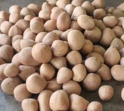 Tengin grated dry copra coconut Karnataka farmer-sourced sun-dried natural cooking ingredient