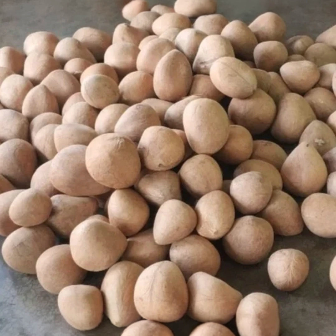 Copra. Dry Coconut Halves
