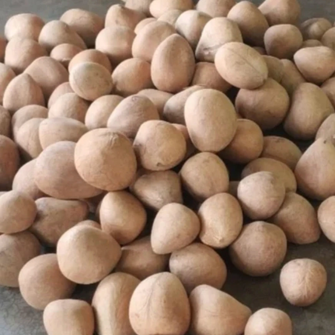Grated Dry Coconut (Copra)