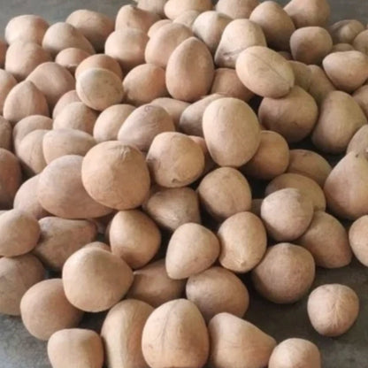 Grated Dry Coconut (Copra)
