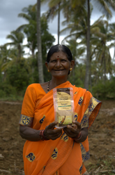 Tengin toddy tapper harvesting coconut sap sugar before sunrise Arsikere Karnataka