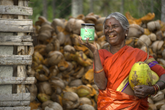 Kariyamma pressing raw virgin coconut oil Arsikere Karnataka Tengin farmers