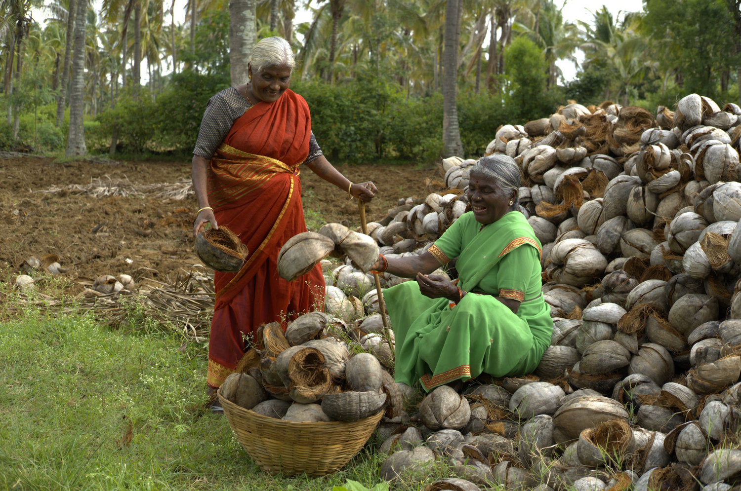 Tengin coconut farmer Arsikere Karnataka farmer-sourced cold-pressed coconut oil