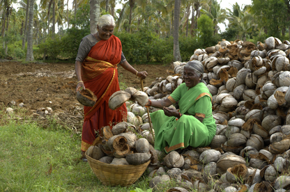 Tengin coconut farmer Arsikere Karnataka farmer-sourced cold-pressed coconut oil
